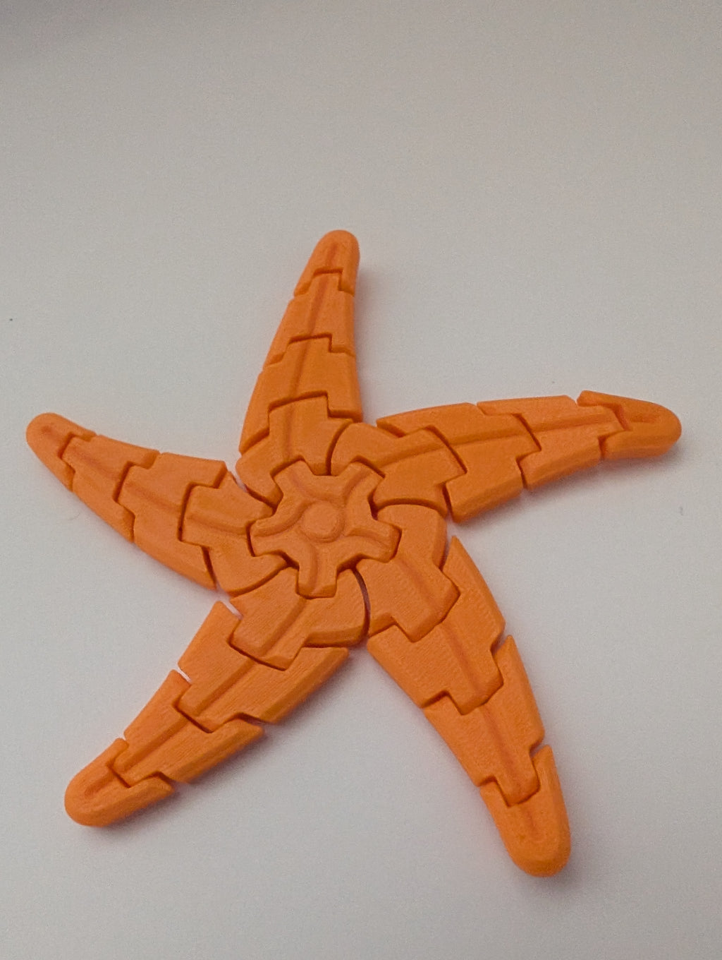 Starfish Fidget Coaster