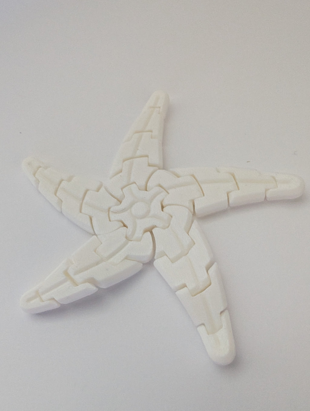 Starfish Fidget Coaster